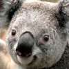 jakeholmes1